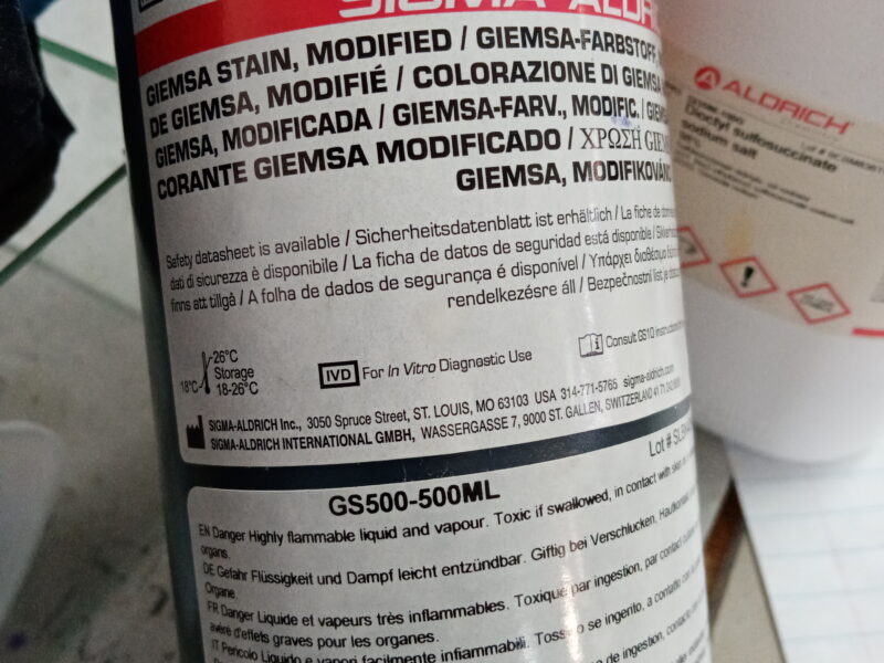 Giemsa stain
