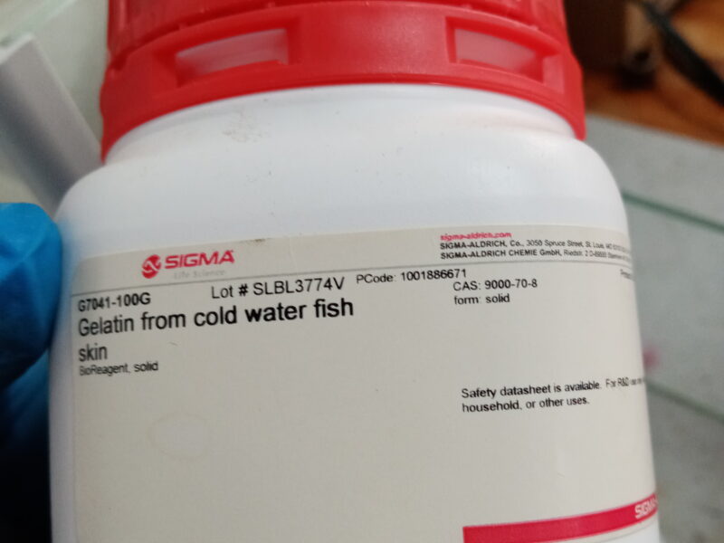 Gelatin from cold fish skin
