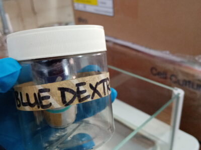 Blue dextran (Leuconostoc)
