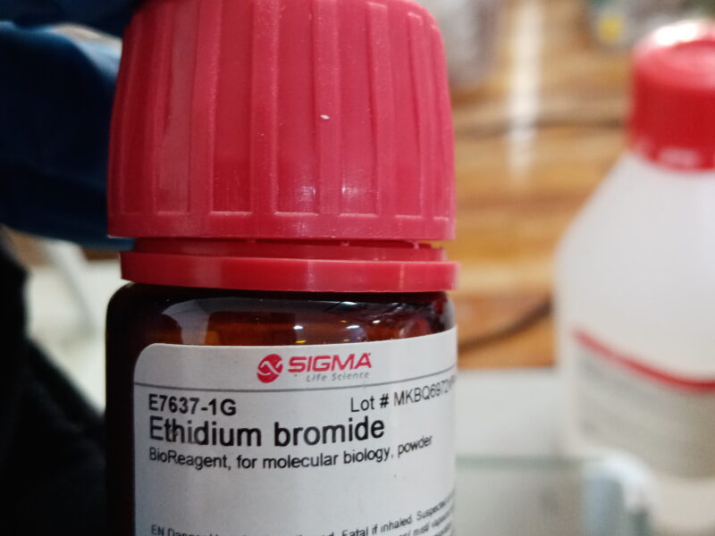 Ethidium bromide