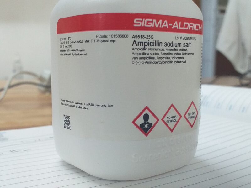 Ampicillin sodium salt