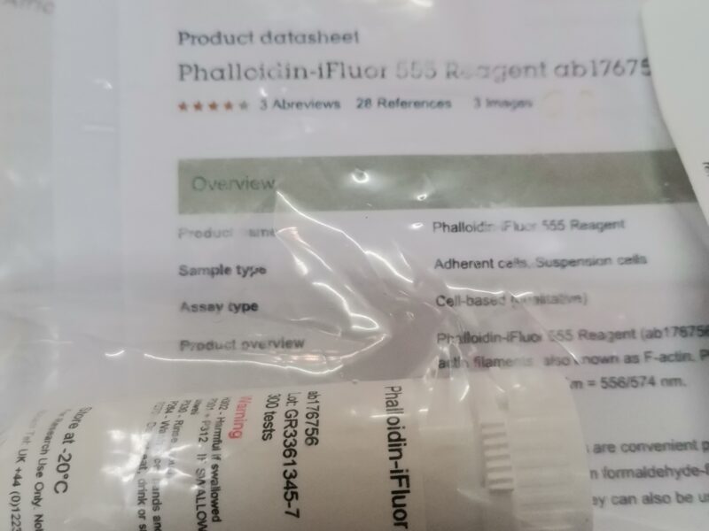 Phalloidin-ifluor 555 reagent