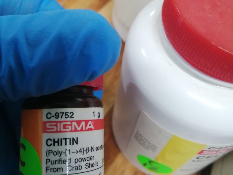 Chitin