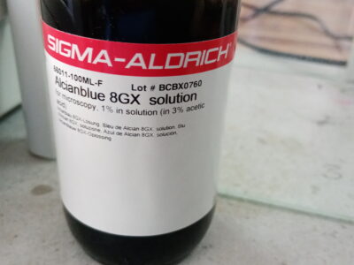 Alcianblue 8GX solution