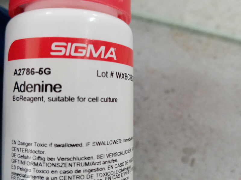 Adenine