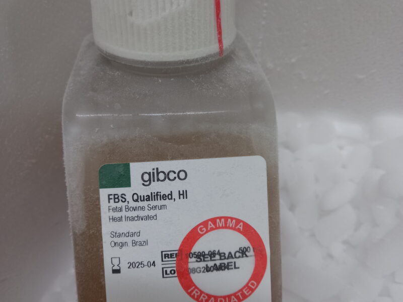 Fetal Bovine Serum (FBS), Heat Inactivated, Gamma Irradiated