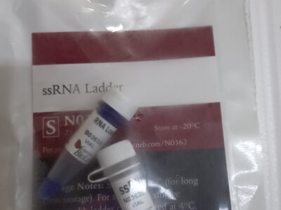 ssRNA Ladder (Broad Range)