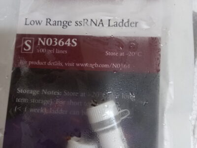 Low Range ssRNA Ladder