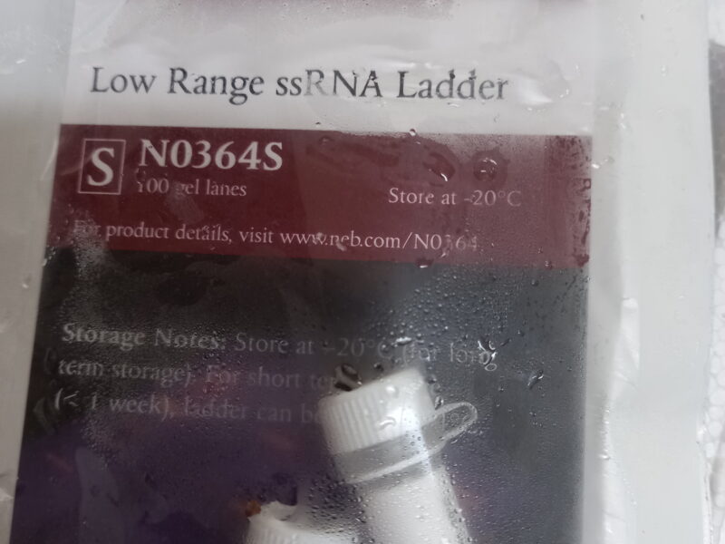 Low Range ssRNA Ladder