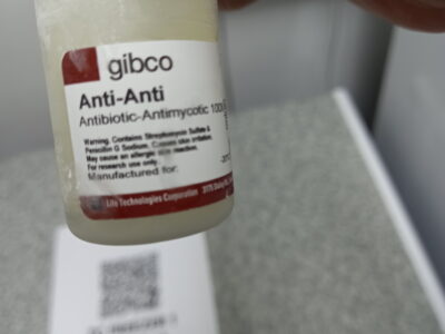 Antibiotic-Antimycotic 100x