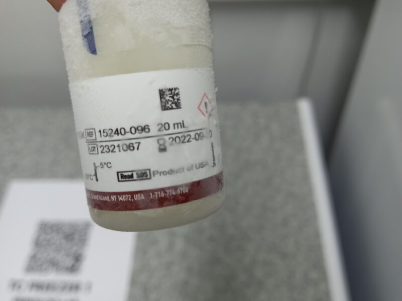 Antibiotic-Antimycotic 100x