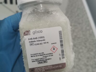 Anti anti 100x antibiotic antimycotic