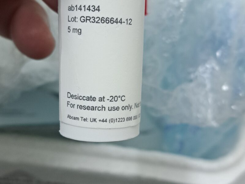 S3i-201, STAT3 Inhibitor