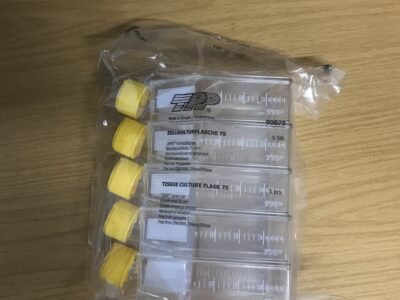 T 75cm² Vent Screw Cap Flasks