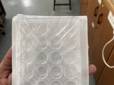24 well cell culture plate