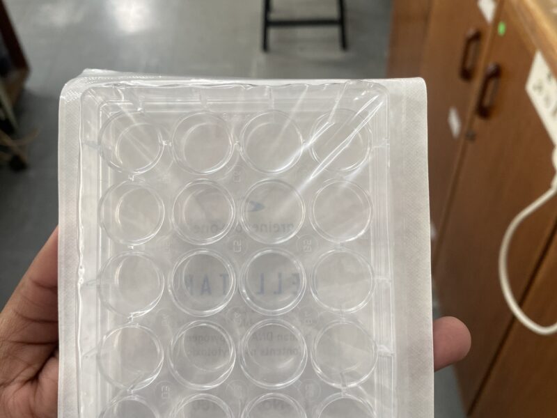 24 well cell culture plate