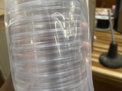 Petri dishes