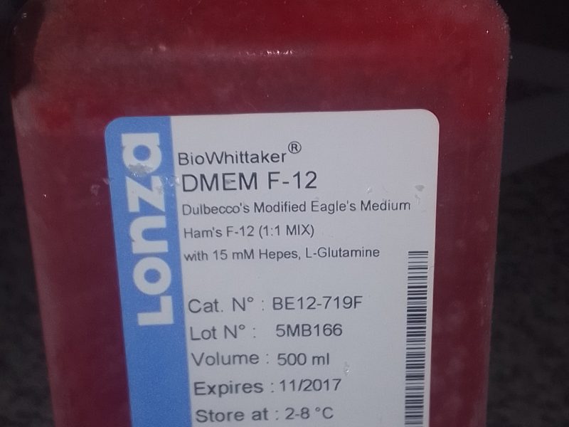DMEM F-12