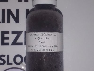 Lipia