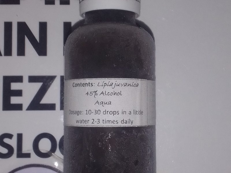 Lipia