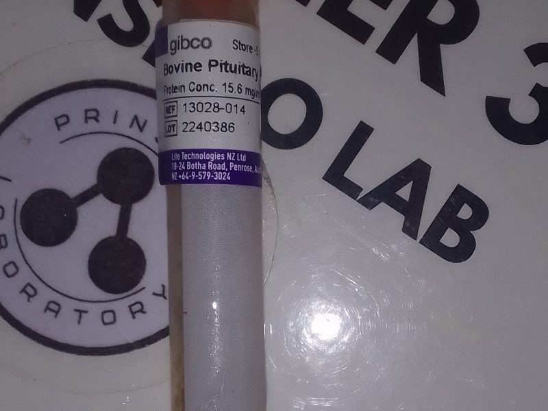 Bovine Pitituary Extract
