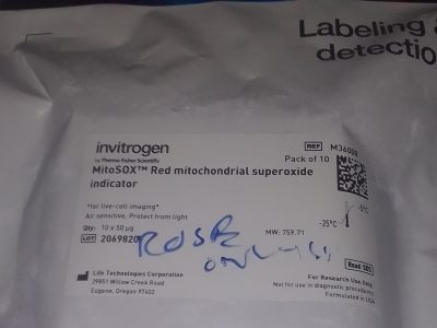 MitoSOX Red mitochondrial superoxide indicator