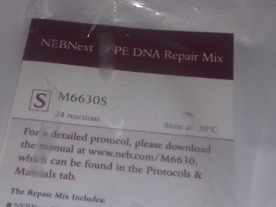 FFPE DNA Repair Mix