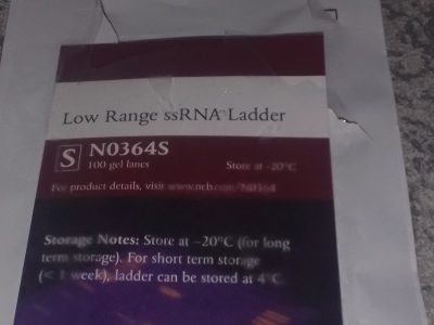 Low Range ssRNA Ladder