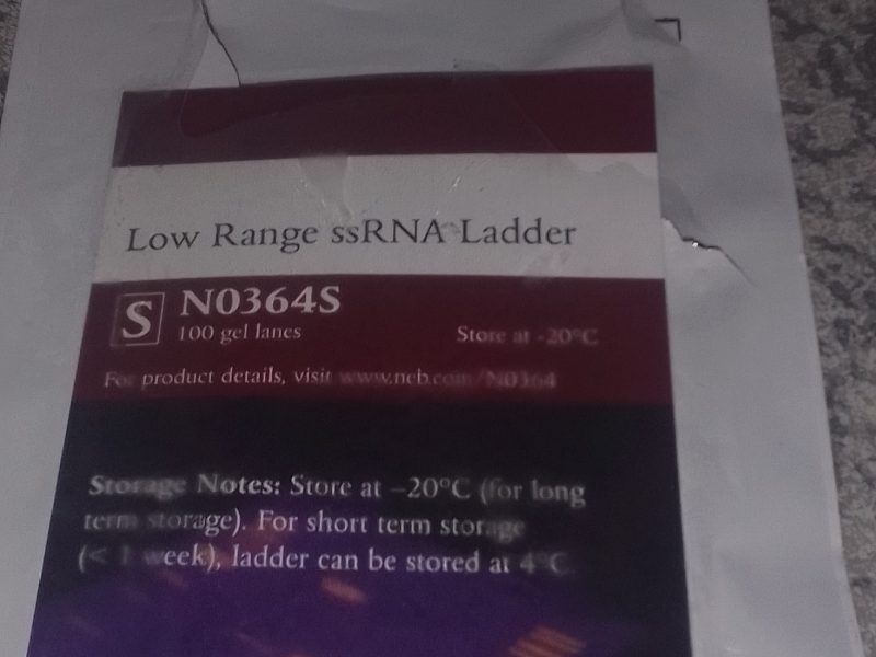 Low Range ssRNA Ladder