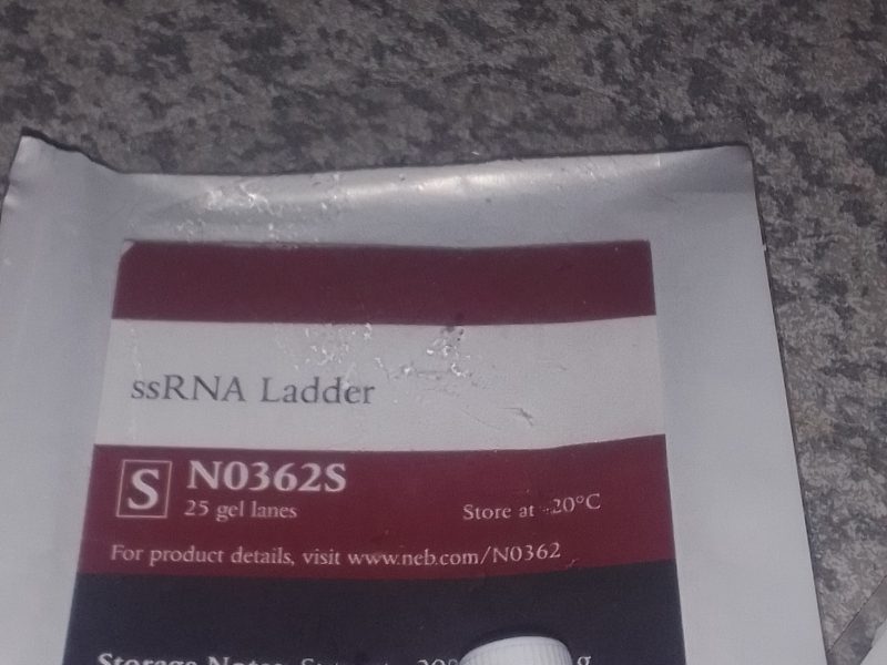 ssRNA Ladder