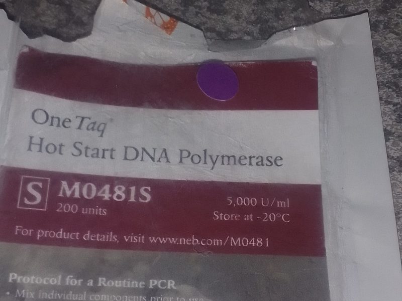 One Taq Hot Start DNA Polymerase