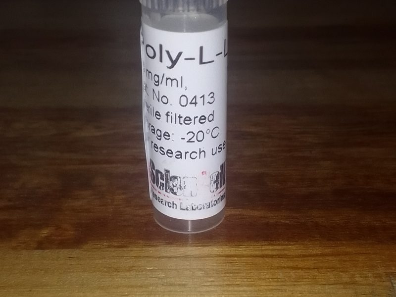 Poly-L-Lysine