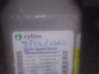 Donor Equine Serum