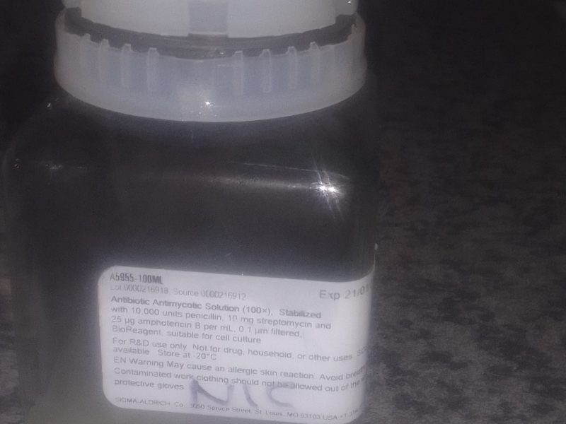 Antibiotic Antimycotic Solution (100x)