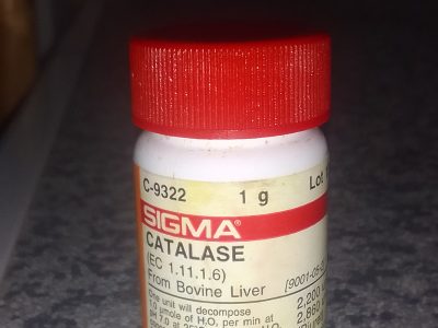 Catalase