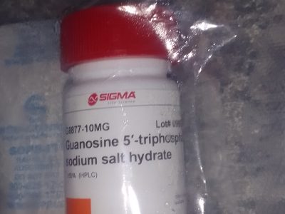 Guanosine 5'-triphosphate sodium salt hydrate