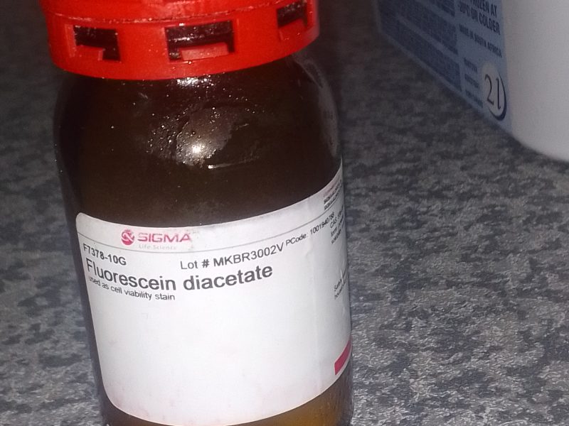 Fluorescein diacetate