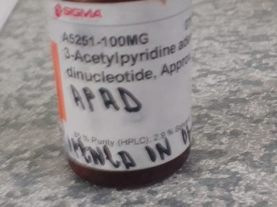3-Acetylpyridine adenine dinucleotide,