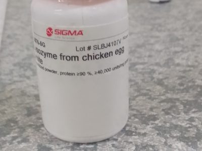Lysozyme from chicken egg