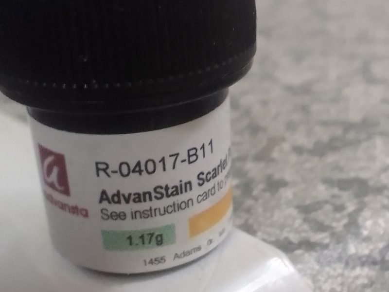 AdvanStain Scarlet Powder B