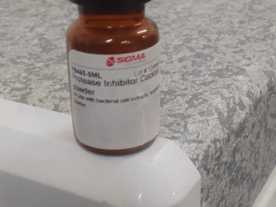 Protease Inhibitor cocktail
